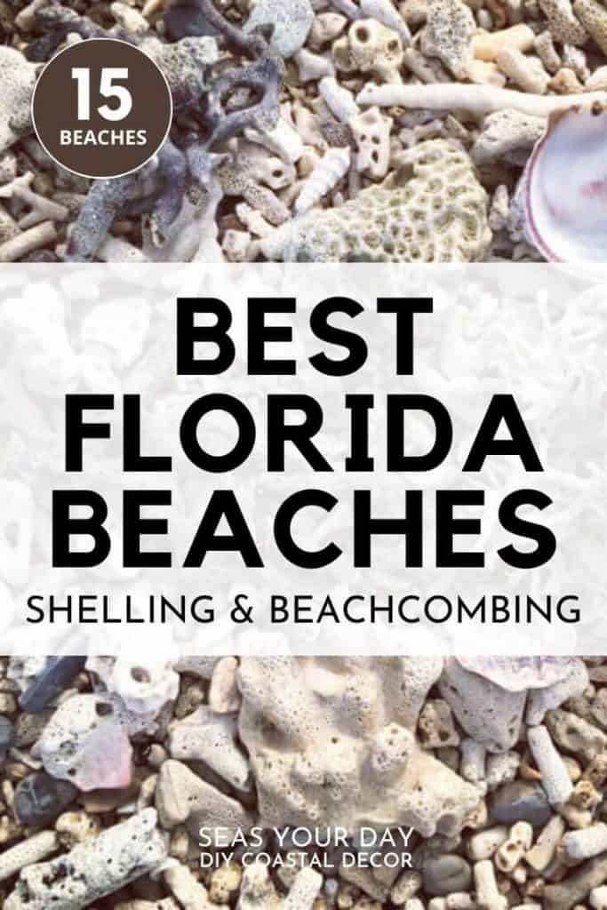 15 Best SHelling Beaches in Florida_seasyourday.com