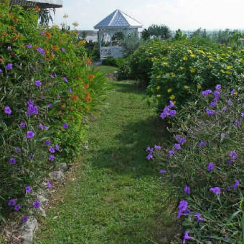 Key West Garden Club | Nature Preserves and Parks of Key West Florida | 12 Things you must do in Key West Florida | https://seasyourday.com/12-key-west-florida-attractions-activities/