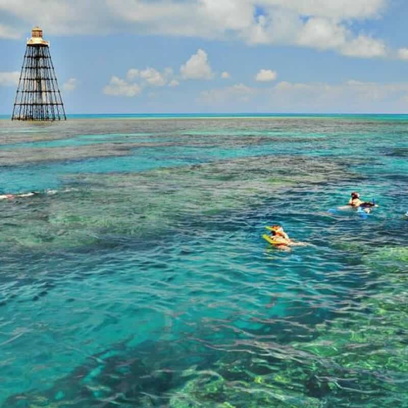 Water Adventures and Excursions | Snorkeling the Florida Keys | 12 Things you must do in Key West Florida | https://seasyourday.com/12-key-west-florida-attractions-activities/