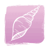 Purple Sea Shell Icon