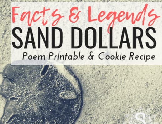 https://seasyourday.com/facts-legend-sand-dollar-poem/