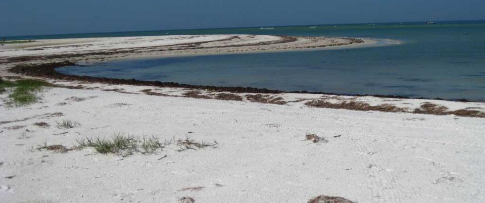 Caladesi Island near Tampa, Florida | 15 best shelling and beachcombing beaches in Florida | https://www.seasyourday.com