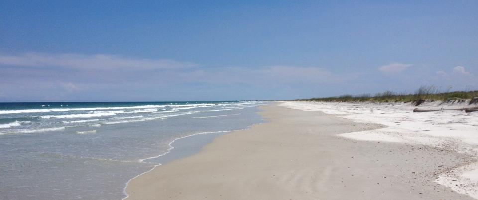 Little Talbot Island, Florida | 15 best shelling and beachcombing beaches in Florida | https://www.seasyourday.com