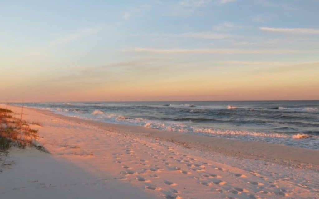 Navarre Beach, Florida | 15 best shelling and beachcombing beaches in Florida | https://www.seasyourday.com