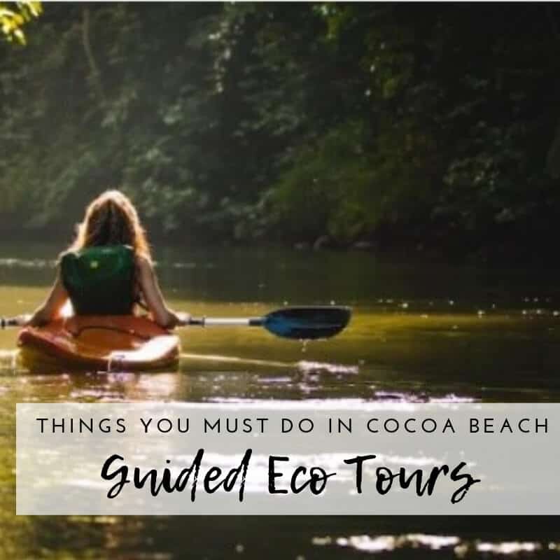 Cocoa Beach FL Things To Do_Bioluminescence Kayak Eco Tours Florida.jpg