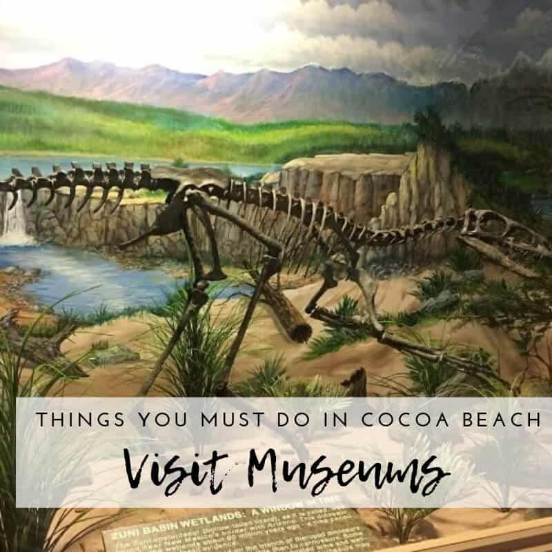 Cocoa Beach FL Things To Do_Dinosaur Store and Museum Cocoa Beach Florida.jpg