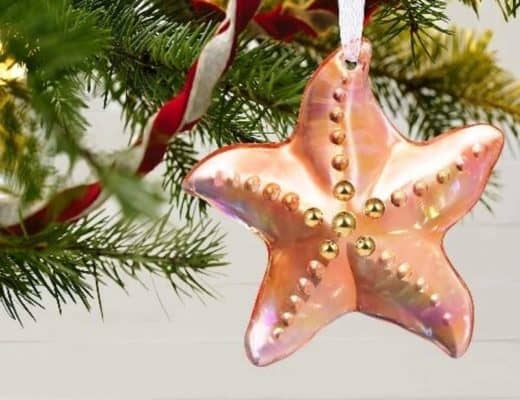 Blown Glass Starfish Tree | Coastal Christmas Tree Ornaments | Coastal & Nautical Ideas Ornament |
