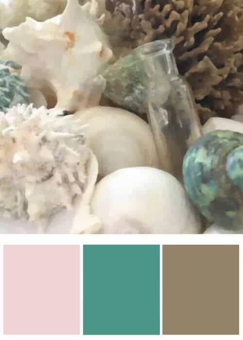 INSPIRATION COLORS FROM COASTAL WALL ART | White and Aqua Shells painted graphic art print on canvas. Wayfair affiliate link: https://fave.co/2L9o7wd