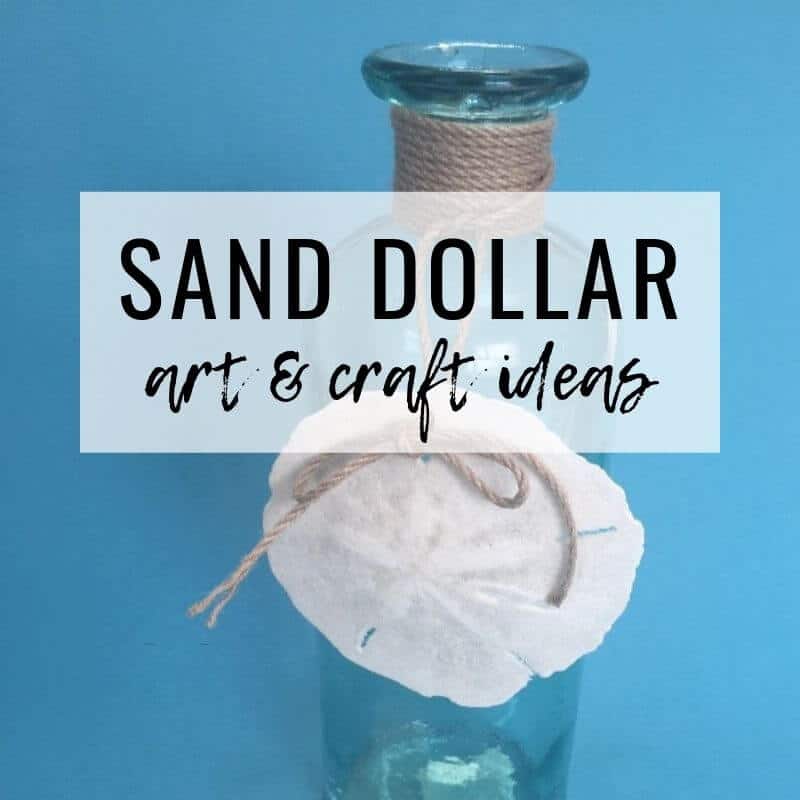 How to make beautiful decoupaged Dollar Tree sand dollars with