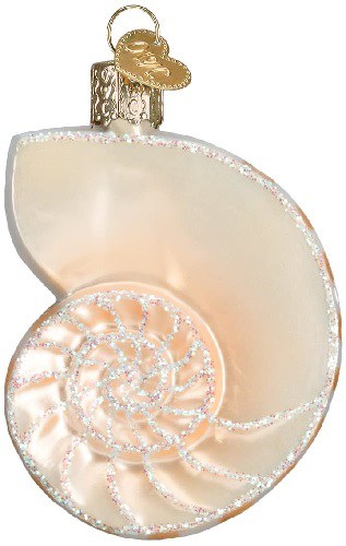 Glass Blown Nautilus Shell and other style shell Ornaments | 
Coastal Christmas Tree Ornaments | Coastal & Nautical Ideas